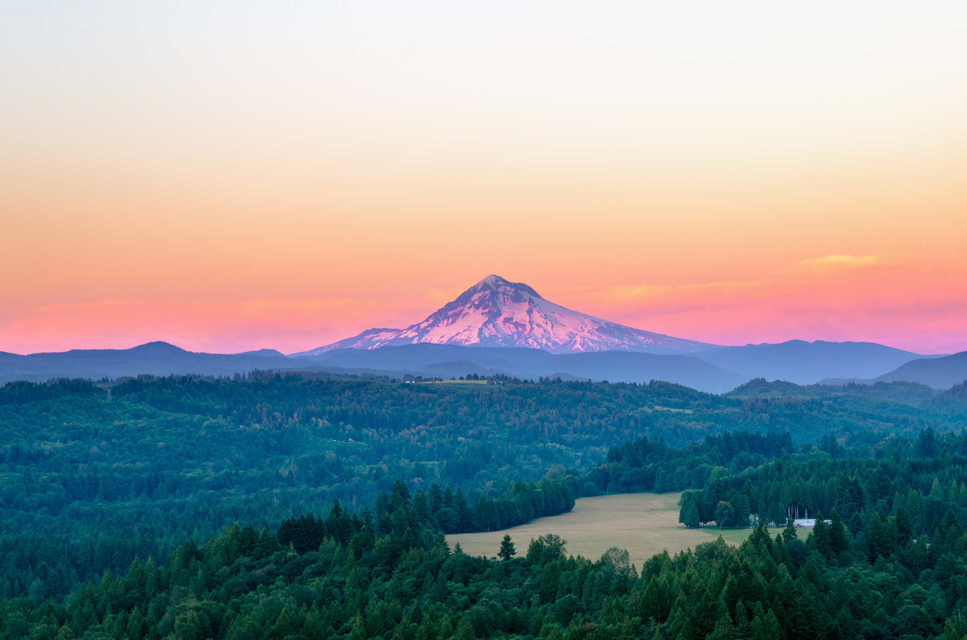 Purple Mount Hood